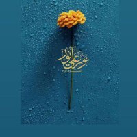 ابو حمد (@alftahyshyb) Twitter profile photo