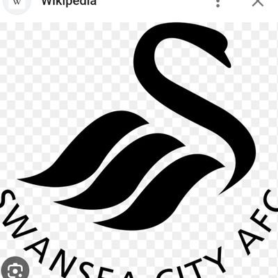 Swansea till I die🤍🤍🤍