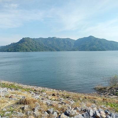 Baiyu699228's profile picture. 