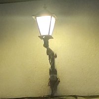 Bird_lover1234 (@lover1234b77802) 's Twitter Profile