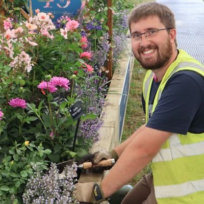 National Collection of Rosa persica hybrids @plantheritage🌹@therosesociety2 Breeders' Group Chair, @RochfordGardens & @the_RHS rose trials judge