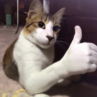 OliveJar288926's profile picture. she/her silly and likes to have fun