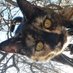 Dale Bertram (@bertram67fun) Twitter profile photo Dale Bertram (@bertram67fun) Twitter profile photo