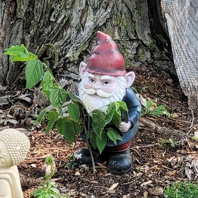 pewdiepieballs's profile picture. adult. pewdiepie balls