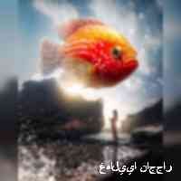bradybaile26891's profile picture. احدث موديلات الشعر ،أحدث الألوان والصبغات ،بروتين للشعر ،معالجة الشعر التالف مكياج تجهيز وتزيين العرائس ، بدلات عرائس فساتين حفلات