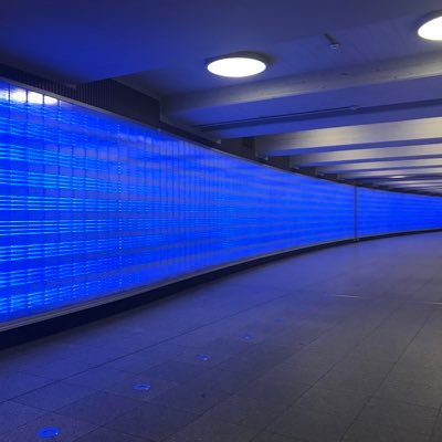 zaramovane's profile picture. husband; trad_cath; m_unicycle; k-drama 😉