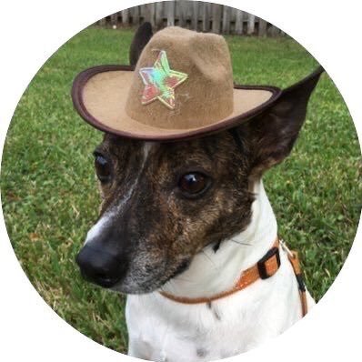 Classic4AllTime's profile picture. Fan account for Blake 🤠 Gwen 👑 & my doggo, rest in treats and green fields my sweet puppy boy 🐾🌈