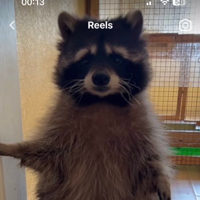 moli_mp3's profile picture. 