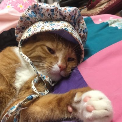 JeanGrace30's profile picture. avid fic reader, 30 🫠, a longtime Twitter lurker until I finally decided to make an account, DragonBladeMaster on ao3