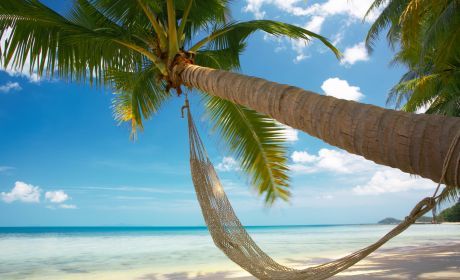 12LiveWell's profile picture. Prima bijverdiensten als distributeur van topprodukten in wellness/fitnes  http://t.co/kbj2LiecDA en klik op: aanmelden