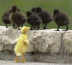 SLUS_Finest_GDI's profile picture. 