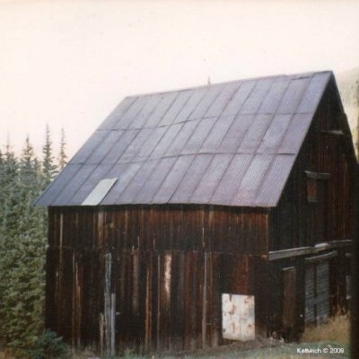 CountryPlanted's profile picture. God, Family, Country!  Retired IT #MAGA #MAHA  IFBP 🚫 DM's, DM's = BLOCKED, NO Porn, NO Lists