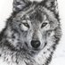 Jean Marc Leloup (@jeanmarcle90370) Twitter profile photo Jean Marc Leloup (@jeanmarcle90370) Twitter profile photo