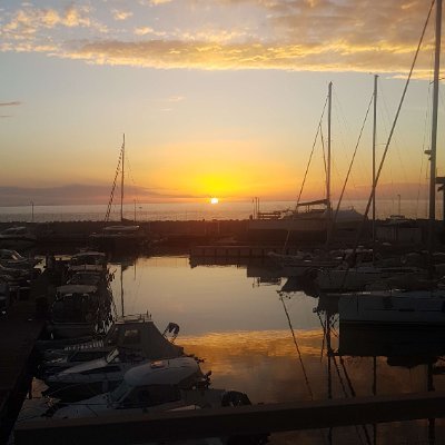 SimonM0_'s profile picture. how strange it is to be anything at all.