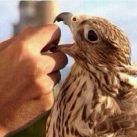 مستـكـن (@mktfi112) Twitter profile photo