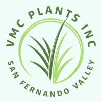 VmcPlants(@Vmcplants) 's Twitter Profile Photo