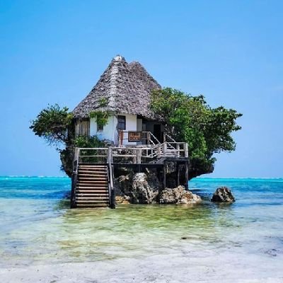 Mauve530's profile picture. 