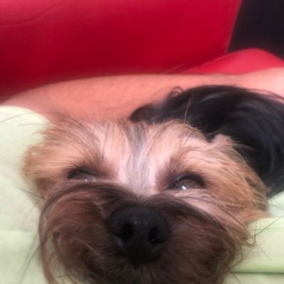 Lapecosa90's profile picture. Me llevé una gran sorpresa al descubrir que la mayor parte de la fealdad que veía en los demás no era más que un reflejo de mi propia naturaleza.