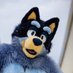 Bandit (heeler.dad) (@dadheeler) Twitter profile photo Bandit (heeler.dad) (@dadheeler) Twitter profile photo