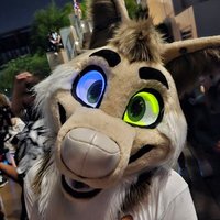 Khojy (@khojanfox) 's Twitter Profile