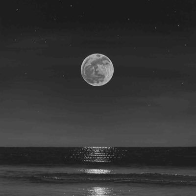 ziluva's profile picture. Living for the hope of it all