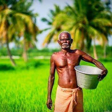 vigneshvicky259's profile picture. 