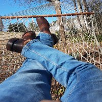 Bison847 (@bison84700) 's Twitter Profile