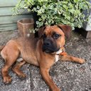 Hayley Arnold - @mrsteamarnold - Twitter