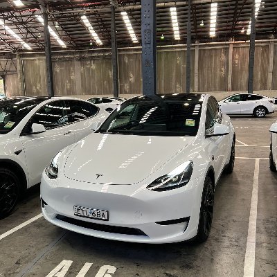 Australian Tesla Fan