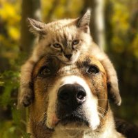 denis tremblay (@denistremb34957) 's Twitter Profile Photo denis tremblay (@denistremb34957) 's Twitter Profile Photo