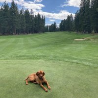 Joe Valente (@joevalente12) 's Twitter Profile