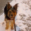 Ryan Deasy - @RyanDeasy - Twitter