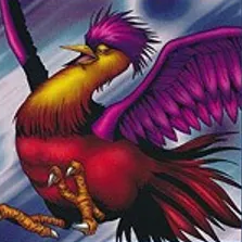 Fun degen token trading
nothing on my Twitter is financial advice dyor
Pic; Crimson Sunbird from Yu-Gi-Oh!