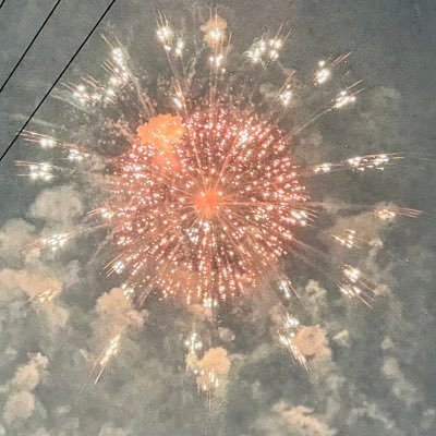 TrippetVal75116's profile picture. 