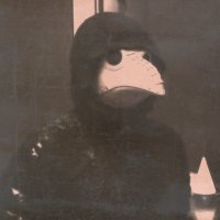 らくほ (@raqhow) 's Twitter Profile
