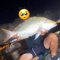 きのこ🍄 (@shimano_nexus02) Twitter profile photo