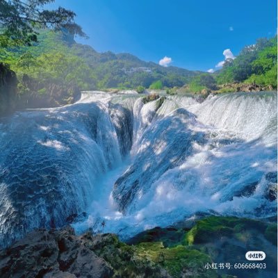 hhguj119324's profile picture. 