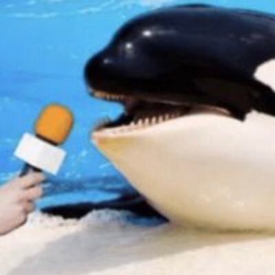 BreadAgenda's profile picture. bugs for the pods