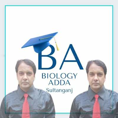 AddaBiolog89607's profile picture. 