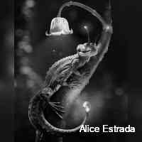 costapilr's profile picture. Dm parcerias 
16.10❤️☃️
CEO: https://t.co/dNVsAyXqs6
apliques_da_neu