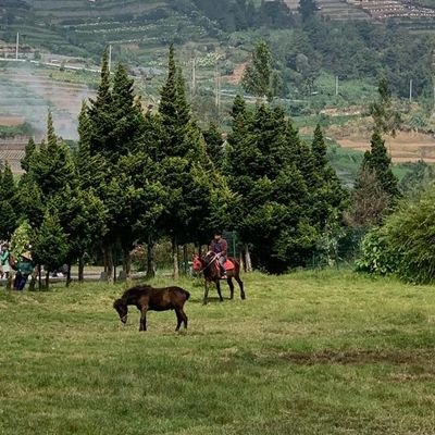 fachrulmaa's profile picture. To look beyond the eyes can see