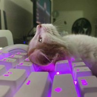UYUNIM💖 (@jazzspazz2) 's Twitter Profile