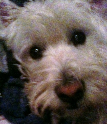 JoanneJames7's profile picture. 