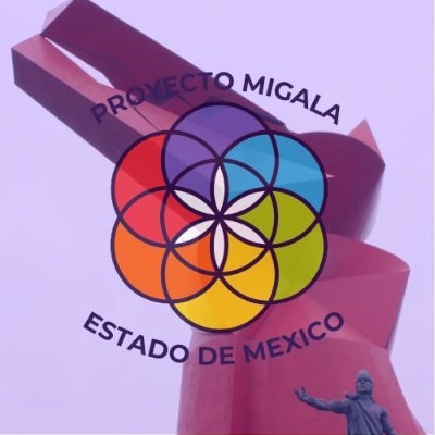 Proyecto Migala Estado de México