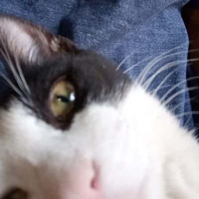 axelRR_'s profile picture. 