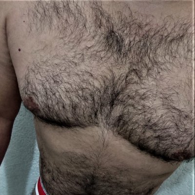 EL_DON_PELUDO Profile