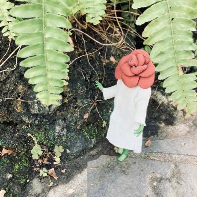 きのこさんのプロフィール画像