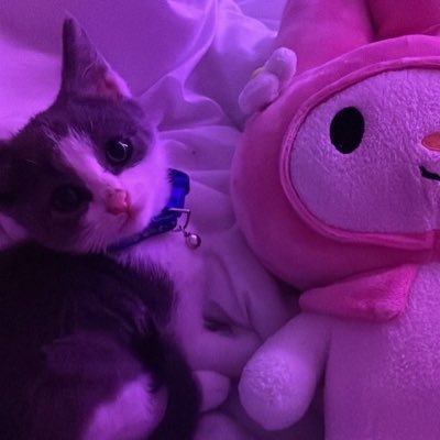 🖥 ⌨️🖱 ばろ えぺキーマウ まいくら Phasmo