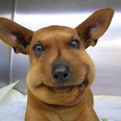 crazyh1888's profile picture. 