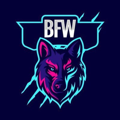 BFW_Offic's profile picture. Official BFW Twitter